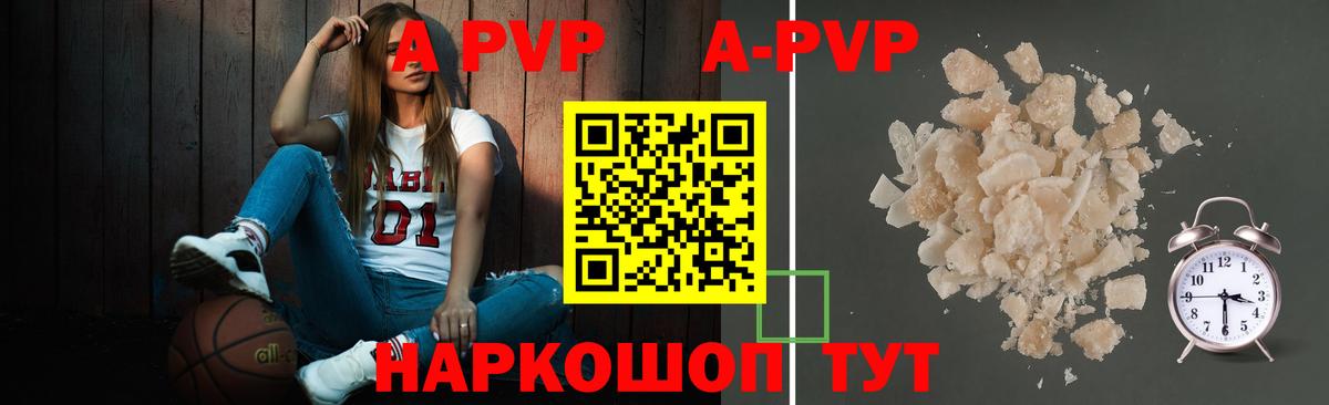 Alfa_PVP СК Архангельск