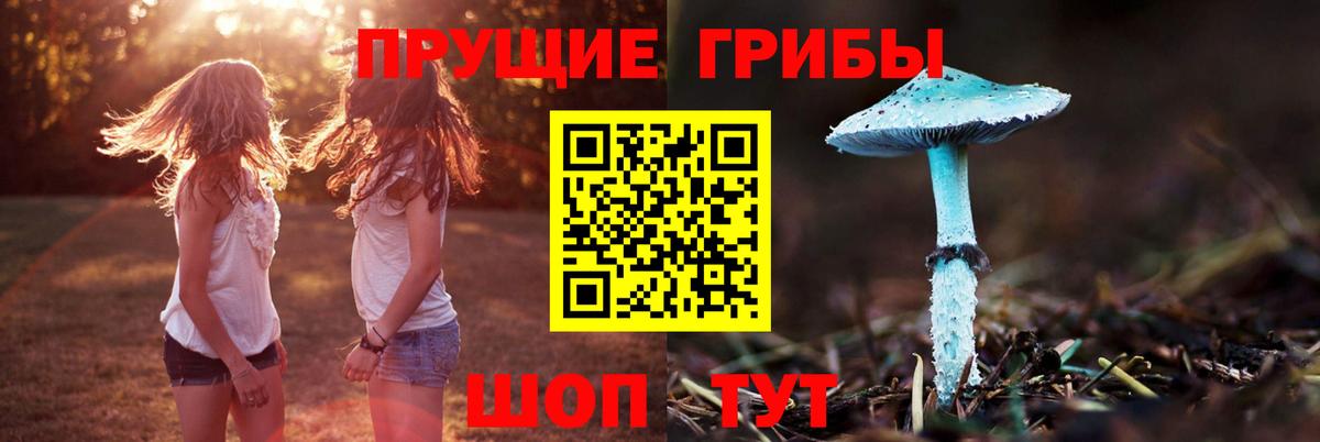 Галлюциногенные грибы Cubensis Архангельск